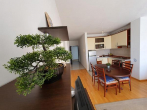 Apartment Nono